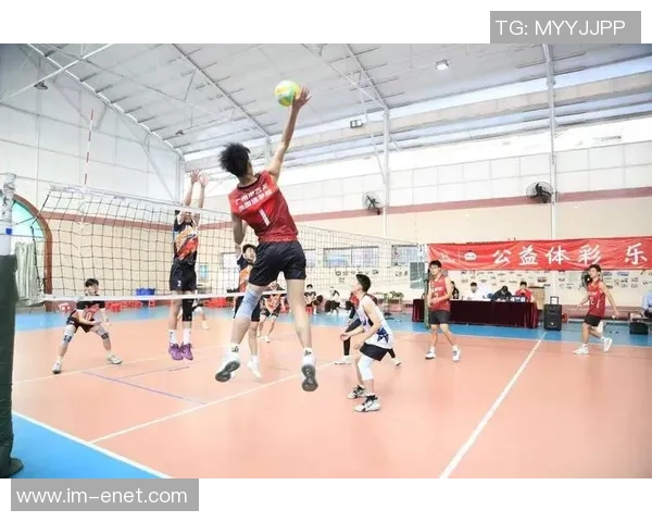 广州排球队协作能力大幅提升荣获全国排球团队协作排名新高