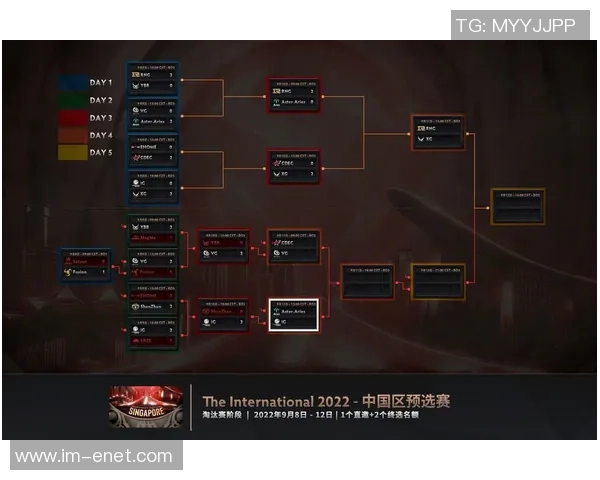 聚焦DOTA2:IG战队如何通过比赛经验提升团队默契与战术执行力 聚焦DOTA2:IG战队如何通过比赛经验提升团队默契与战术执行力
